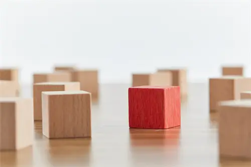 青岛大学董玥简介